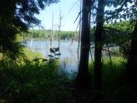 /home//u458753944/public_html/sourcegallery/////////////////other/races/Scrabble Rogaine 2023/P6030888.JPG
